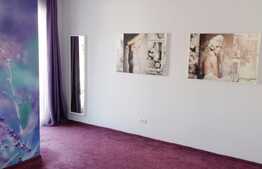 2 camere, 62 mp, mobilat modern, in casa/vila, zona strazii Nicolae Titulescu