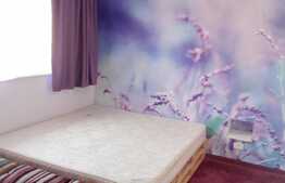 2 camere, 62 mp, mobilat modern, in casa/vila, zona strazii Nicolae Titulescu