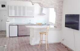 2 camere, 62 mp, mobilat modern, in casa/vila, zona strazii Nicolae Titulescu