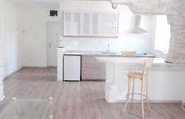 2 camere, 62 mp, mobilat modern, in casa/vila, zona strazii Nicolae Titulescu