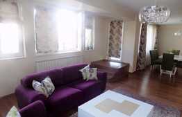 3 camere, 103 mp, terasa 40 mp, garaj, zona strazii Gruia. La cheie!