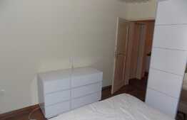 3 camere, 103 mp, terasa 40 mp, garaj, zona strazii Gruia. La cheie!