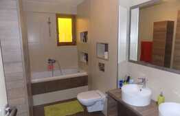 3 camere, 103 mp, terasa 40 mp, garaj, zona strazii Gruia. La cheie!