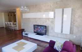 3 camere, 103 mp, terasa 40 mp, garaj, zona strazii Gruia. La cheie!