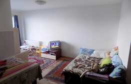 De vanzare apartament 2 camere, 40 mp, zona Piata Flora