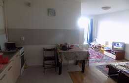 De vanzare apartament 2 camere, 40 mp, zona Piata Flora