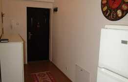 Apartament  2 camere, 48 mp, garaj, 2 terase, zona Clujana