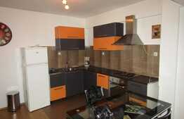 Apartament  2 camere, 48 mp, garaj, 2 terase, zona Clujana