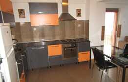 Apartament  2 camere, 48 mp, garaj, 2 terase, zona Clujana