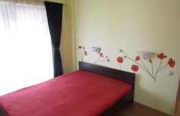 Apartament  2 camere, 48 mp, garaj, 2 terase, zona Clujana