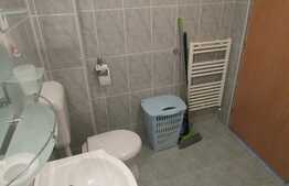 Vanzare garsoniera de 36 mp, mobilata si utilata! Zona strazii Dumitru Mocanu!