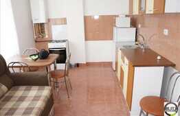 Apartament 1 camera, decomandat, 42 mp, imobil nou, zona Borhanciului