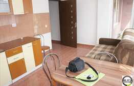 Apartament 1 camera, decomandat, 42 mp, imobil nou, zona Borhanciului