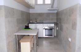 Casa 3 camere, 115 mp, terasa+gradina 650 mp, mobilat modern, imobil tip casa, zona Dedeman