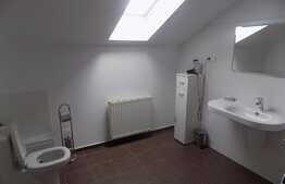 Vino sa descoperi avantajele unei mansarde!