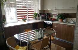De vanzare apartament 2 camere, 50 mp, zona Iulius Mall
