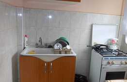 Garsoniera de inchiriat, 26 mp, decomandata, zona Profi