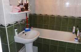 Garsoniera de inchiriat, 26 mp, decomandata, zona Profi