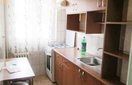 Apartament 2 camere, 40 mp, zona strazii Garbau
