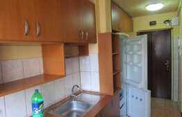 Apartament 2 camere, 40 mp, zona strazii Garbau