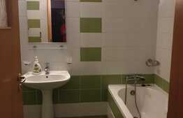 Apartament cu 2 camere, decomandat, terasa, 60 mp, zona Iulius Mall