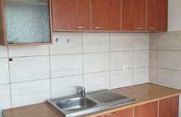 Apartament cu 2 camere, decomandat, terasa, 60 mp, zona Iulius Mall