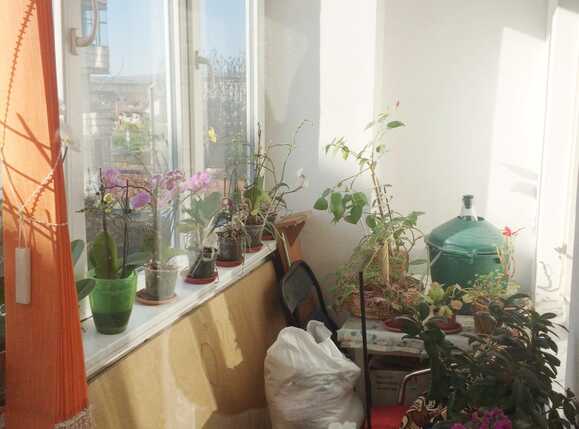 Apartament de vânzare 4 camere Marasti - 25021AV | BLITZ Cluj-Napoca | Poza6