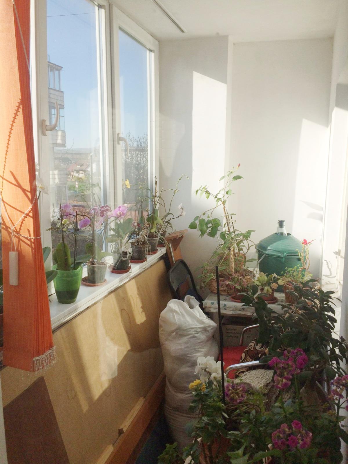 Apartament de vânzare 4 camere Marasti - 25021AV | BLITZ Cluj-Napoca | Poza6