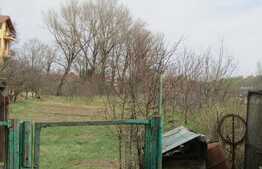 De vanzare casa individuala 80 mp, 2890 mp teren, zona linistita!