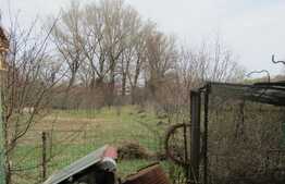 De vanzare casa individuala 80 mp, 2890 mp teren, zona linistita!