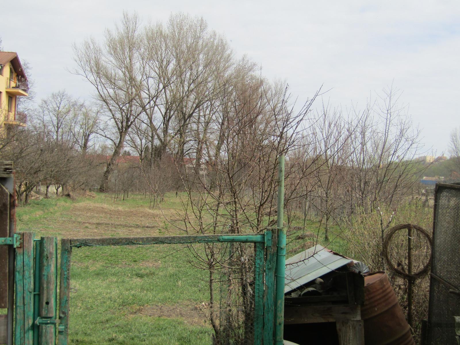 Casa de vânzare 3 camere Dambul Rotund - 25023CV | BLITZ Cluj-Napoca | Poza4