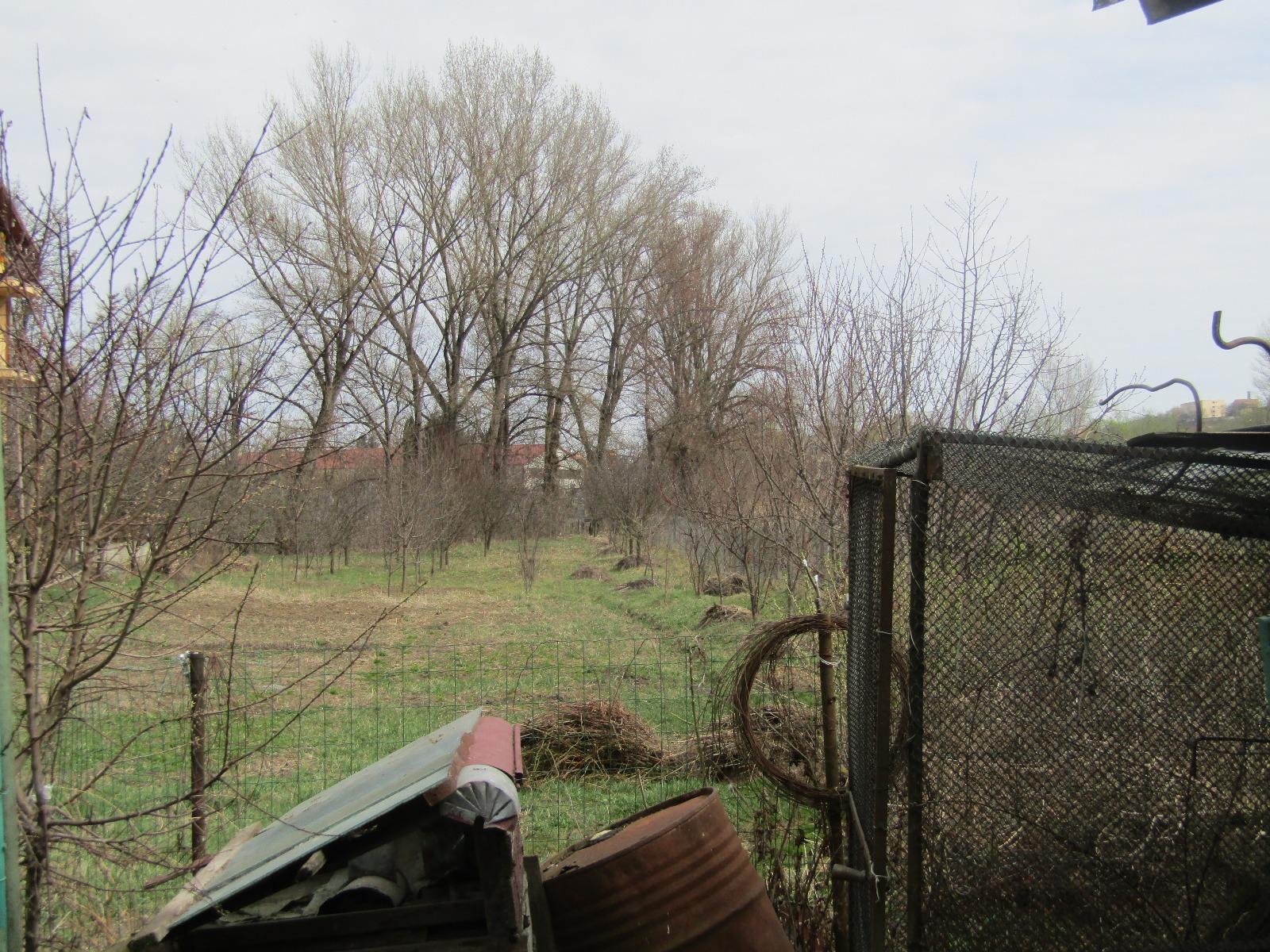 Casa de vânzare 3 camere Dambul Rotund - 25023CV | BLITZ Cluj-Napoca | Poza6