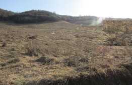 Teren intravilan, 2900 mp! Toate utilitatile! Zona nou dezvoltata!