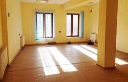 Spatiu comercial 100 mp, open space, zona Garii