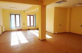 Spatiu comercial 100 mp, open space, zona Garii