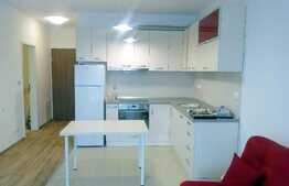 2 camere, 45 mp, totul nou, parcare, zona Complexului Sophia Residence