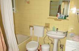 Apartament 4 camere, 100 mp, prima inchiriere, imobil casa, zona Casa de Cultura