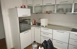 Apartament 4 camere, 100 mp, prima inchiriere, imobil casa, zona Casa de Cultura