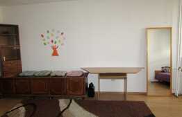 Garsoniera, 30 mp, zona McDonald's