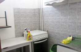 Garsoniera, 30 mp, zona McDonald's