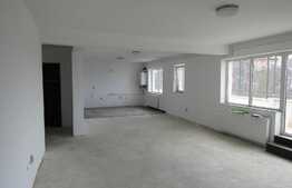 2 camere, 120 mp, decomandat, terasa 120 mp, semifinisat, zona Vivo Center