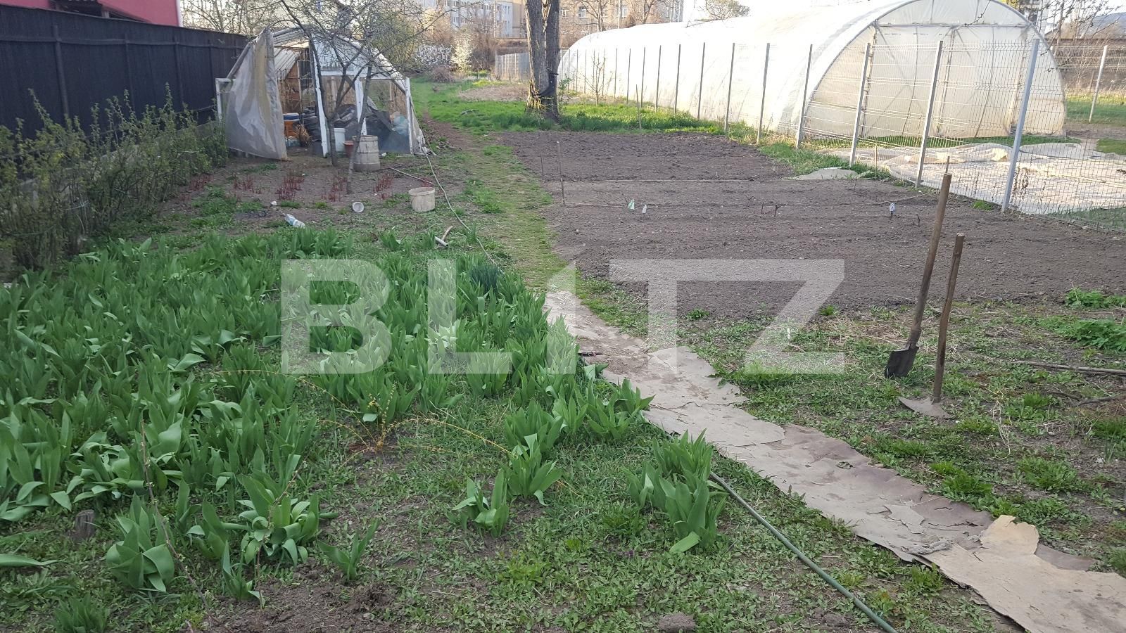 Casa de vânzare 3 camere Marasti - 25131CV | BLITZ Cluj-Napoca | Poza2