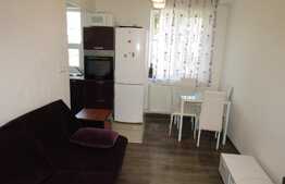 Apartament 1 camera, 43 mp, zona strazii Maramuresului