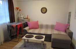 Garsoniera de vanzare, 38 mp! Zona strazii Somesului!