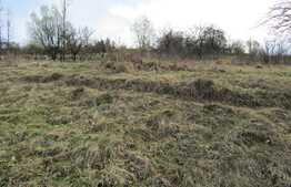 Teren intravilan, 2334 mp, front 80 ml, zona linistita