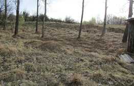 Teren intravilan, 2334 mp, front 80 ml, zona linistita