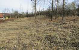 Teren intravilan, 2334 mp, front 80 ml, zona linistita