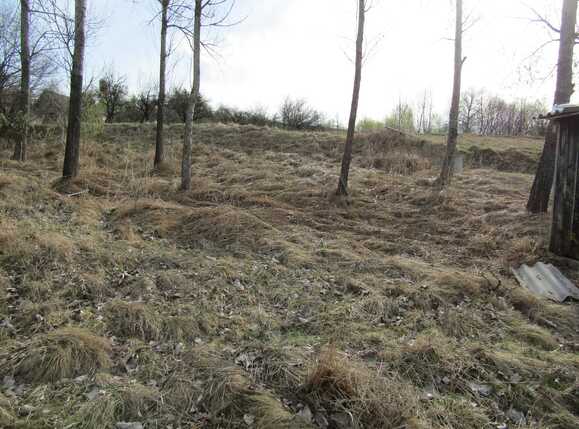 Teren de vânzare Exterior Sud - 25177TV | BLITZ Cluj-Napoca | Poza3