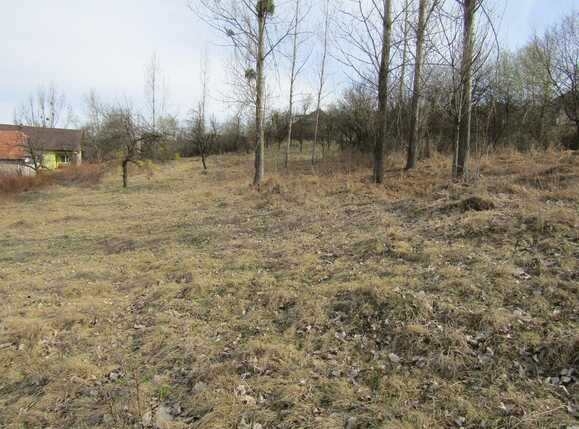 Teren de vânzare Exterior Sud - 25177TV | BLITZ Cluj-Napoca | Poza6