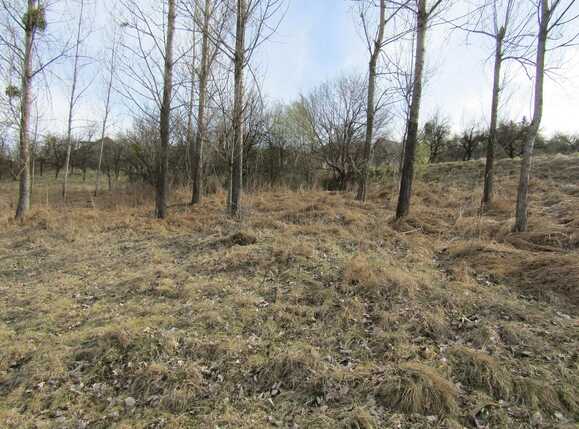 Teren de vânzare Exterior Sud - 25177TV | BLITZ Cluj-Napoca | Poza7